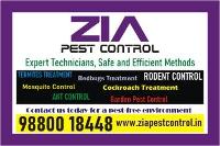 Zia Pest Control | General pest service | Discount Upto 50% | 7061